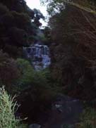 Rotorua - Hells Gate (Mud Pools)